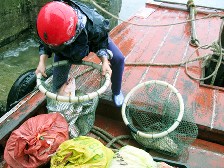 Gian nguy nghề lặn biển.